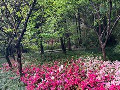 -成都杜甫草堂博物馆