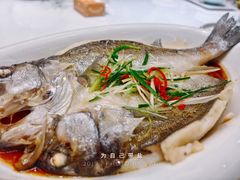 清蒸鲈鱼-宁夏国强手抓羊肉·清真菜(未央路凤三店)