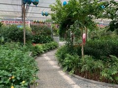 -南宫五洲植物乐园