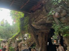 -长鹿旅游休博园
