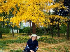 -国家植物园南园