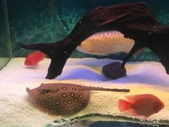 -绍兴梦享海洋公园