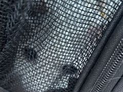 -纳吉亚猫专科动物诊疗中心(蒋宅口分院)