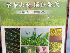 -喜湘宴·精致湖南菜(和平西桥店)