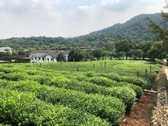 -中国茶叶博物馆(双峰馆区)