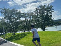 -羊山湖公园