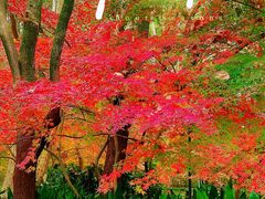 -共青国家森林公园-售票处