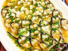 -呼吸森林·生态农庄农家乐私房菜