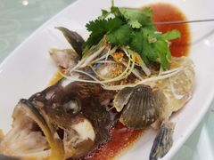 龙胆鱼-悦来酒家·正宗闽南菜(西街店)