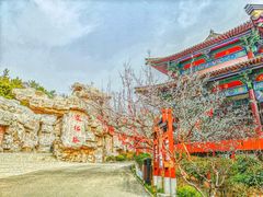 -威海华夏城景区