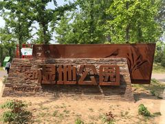 -东郊湿地公园