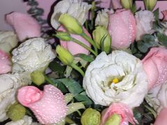 -花仙女鲜花店