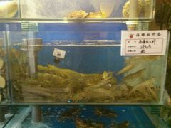 -大唐名家·息壤店