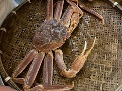 -綱元·海鲜豆捞(明州里店)
