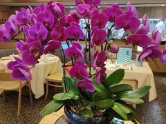 -莆田餐厅PUTIEN(西安万象天地店)