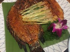 香茅草烤罗非鱼-紫滇源云南生态菜(丹凤街店)