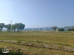 -敕勒川草原