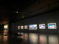 -罗红摄影艺术馆