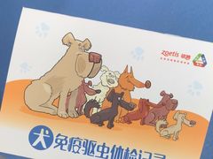 -天使宠物医院·犬猫分诊(彩虹店)