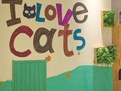 -藏猫猫咖啡主题馆(中央大道店)