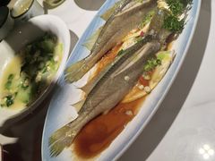 -33号大院·青岛本帮菜(五四广场店)