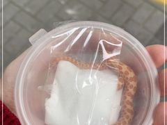 -酷以爬仙阁实体爬宠店·守宫·蜥蜴·专业繁育