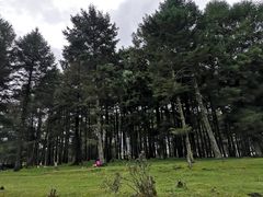 -石棉县孟获城