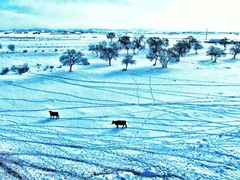 -塞罕坝国家级自然保护区