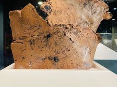 -上海自然博物馆