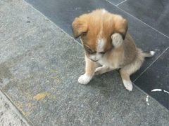 -安吉罗联丰舞厅(宝丰生活广场店)