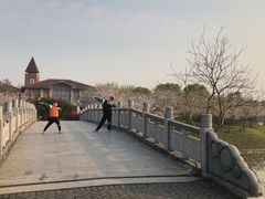 -上海海湾国家森林公园