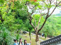 -广州神农草堂中医药博物馆