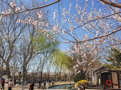 -三里河公园