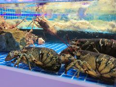 -渔港甄宴·海鲜·地标烟台菜(金沙滩店)