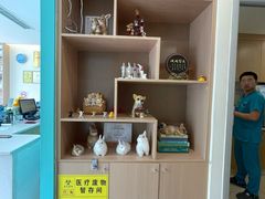 -美迦爱-牙专科·兔科·骨科诊疗中心(北苑店)