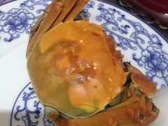 -煎饼卷大葱·非遗传承·潍坊菜(十笏园店)