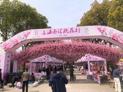 -南汇桃花村