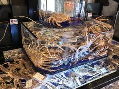 -蟹道乐(道顿堀本店)