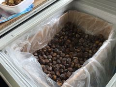 -粒上皇(扬名广场店)