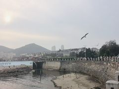 -黑石礁公园