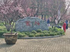 -上海海湾国家森林公园