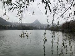 -凤池园