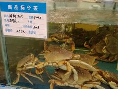 -大方圆酒楼(西门大街店)