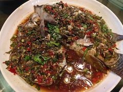 哈尼梯田鱼-香满楼(临安路店)