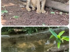 -乐和乐都主题乐园