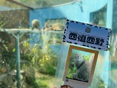 -青藏高原野生动物园