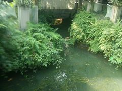 -王家渡火锅(三苏祠店)