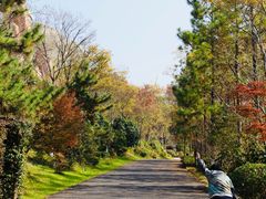 -茅山东方盐湖城景区
