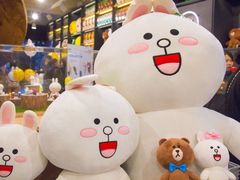-line friends(明洞旗舰店)