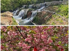 -沂蒙山旅游区云蒙景区(蒙山国家森林公园)